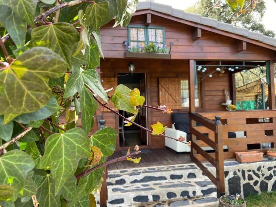 Desconexion Y Paz, Cabana En La Sierra Albalate De Zorita 外观 照片