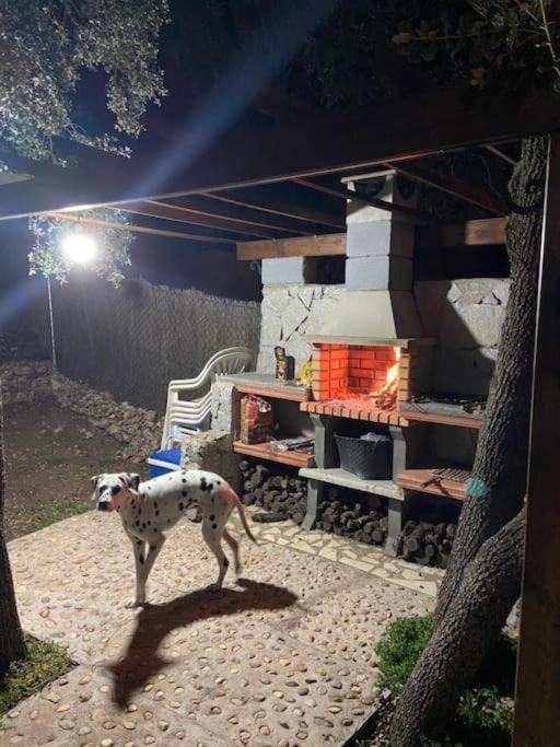 Desconexion Y Paz, Cabana En La Sierra Albalate De Zorita 外观 照片