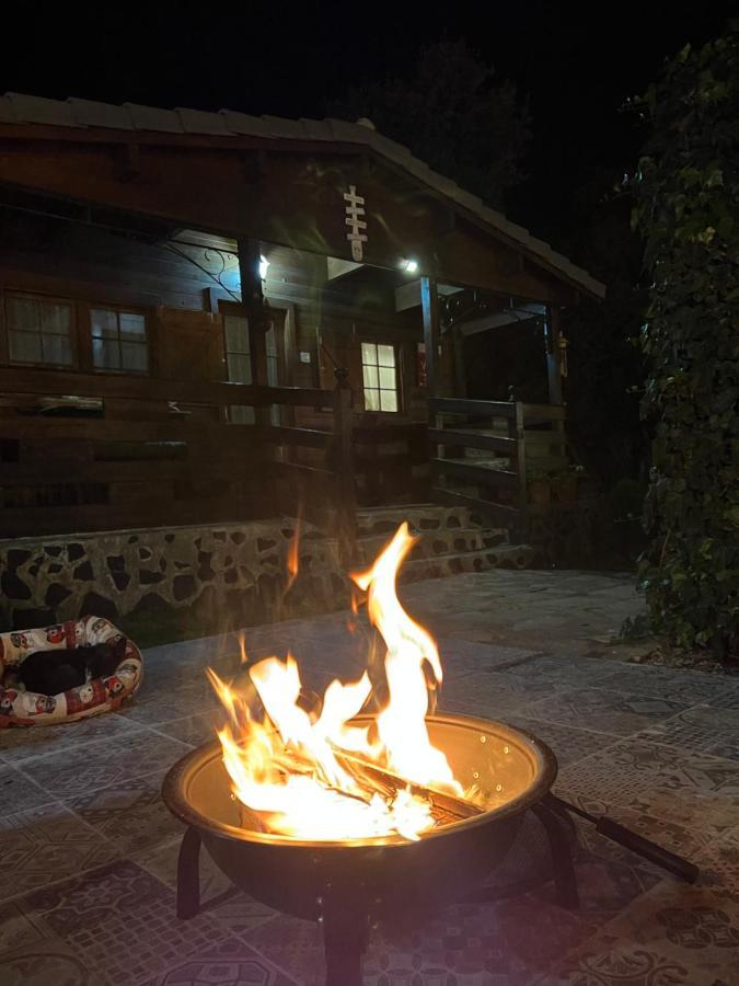 Desconexion Y Paz, Cabana En La Sierra Albalate De Zorita 外观 照片